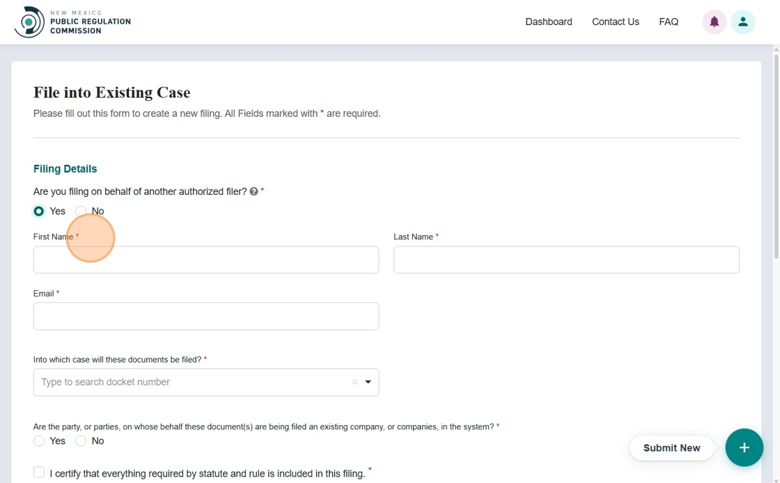 Authorized filer detail fields