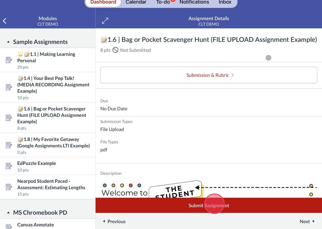A digital learning platform assignment page showing a menu with sample assignments on the left and assignment details on the right. It includes steps for submission.