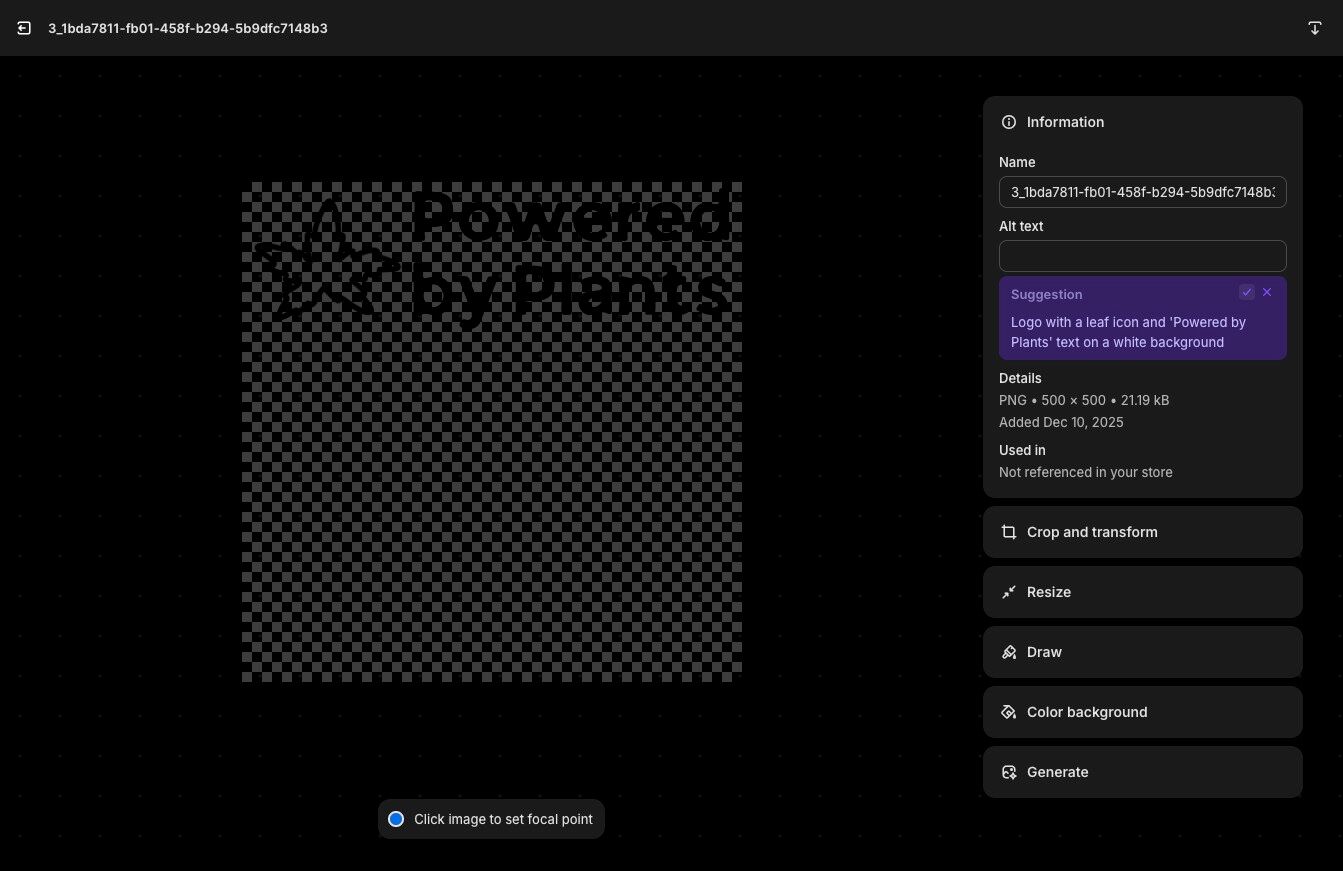 Add Alt text in the Alt text field