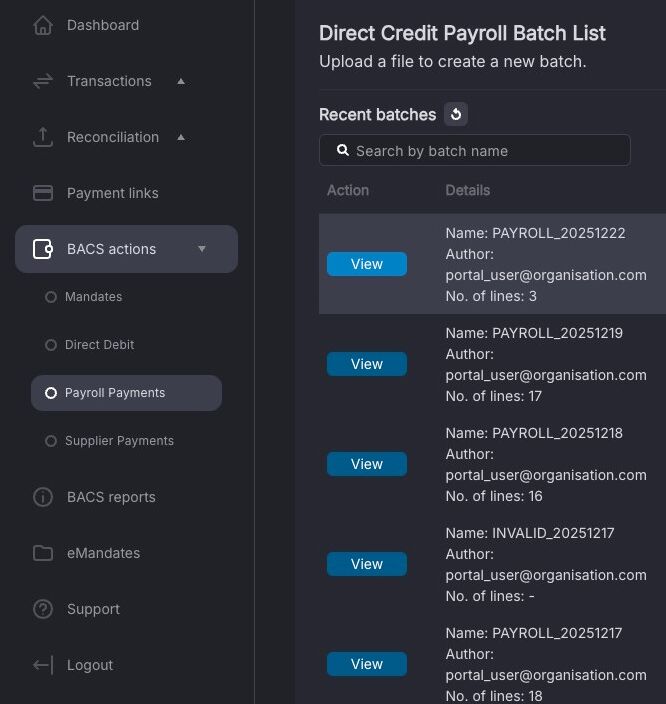 View button against the uploaded payment file