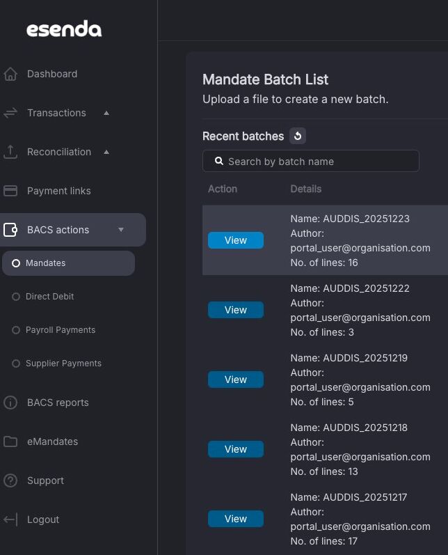 View button against the uploaded mandate file