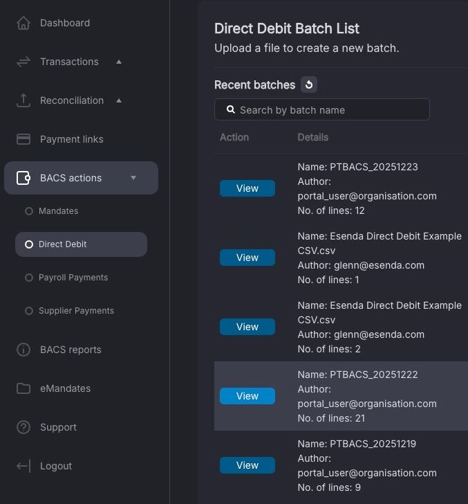 View button against the uploaded payment file